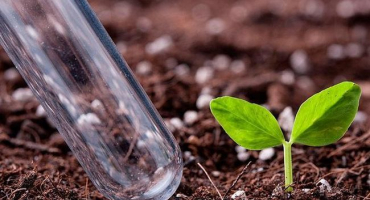 Nejvyšší přípustná koncentrace a hygienické normy pro obsah škodlivých chemikálií v půdě