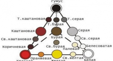 Výčet hlavních morfologických charakteristik půd a podstaty tohoto pojmu