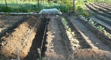 Klady a zápory lůžek a jak je vyrobit sami