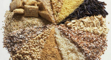 Klady a zápory prasečích premixů, složení a špičkoví výrobci