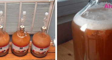 Proč se při kvašení vína objevuje hustá pěna a 4 způsoby, jak problém vyřešit