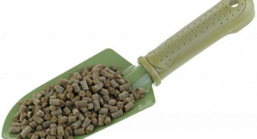 Krmení rajčat kuřecím trusem