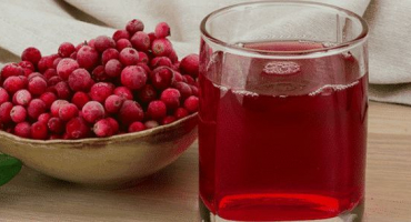 Užitečné a léčivé vlastnosti bobulí brusinek a možné kontraindikace