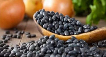 Užitečné a škodlivé vlastnosti černých fazolí pro zdraví, popis odrůd