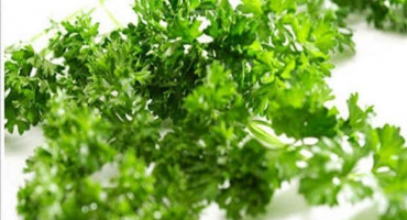 Užitečné vlastnosti a kontraindikace petržele pro hubnutí