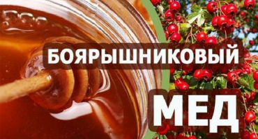 Užitečné vlastnosti a kontraindikace medu z hlohu, aplikace