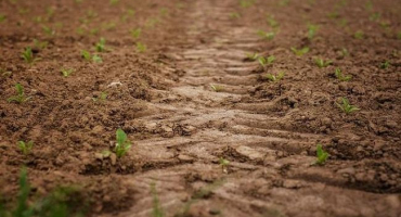 Pojem hodnocení půdy, jaký je jeho hlavní cíl a ukazatele