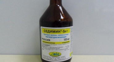 Oblíbené přípravky na železo pro selata a návod na jejich použití