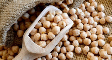 Populární odrůdy cizrny a vlastnosti jejich pěstování