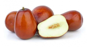 Výsadba a péče o datle čínské, jak je pěstovat a množit, bojovat proti chorobám