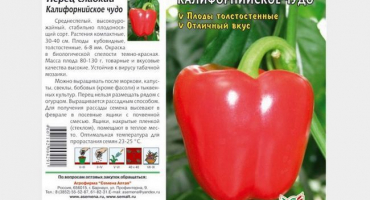 Pěstování a pěstování sladké papriky kalifornský zázrak