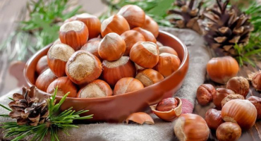 Výsadba, pěstování a péče o lískové ořechy na volném poli, výběr odrůd a rozmnožování