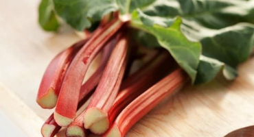 Výsadba, pěstování a péče o rebarboru venku, kdy sklízet a jak množit