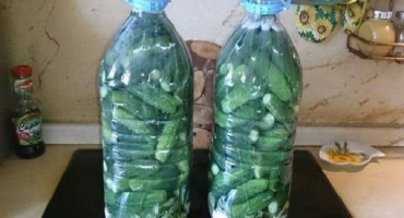 Krok za krokem recepty na nakládané okurky v plastových lahvích na zimu, skladování
