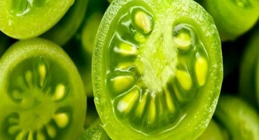 Krok za krokem recept na zelená rajčata v rajčatech na zimu