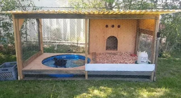 Postavte si kotec pro husy vlastníma rukama, materiály a uspořádáním voliéry