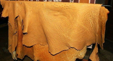 Pravidla a jemnosti úpravy pštrosí kůže