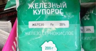 Pravidla pro zpracování hrušek železným vitriolem v létě, jeho rozdíly od mědi