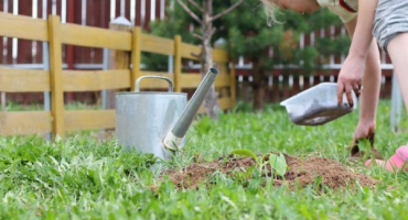 Pravidla pro krmení cukety na otevřeném poli