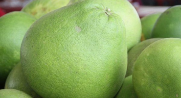 Pravidla výběru pomelo