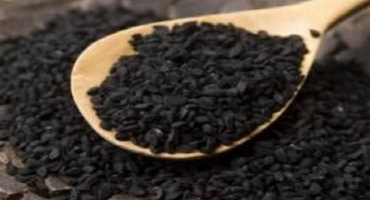 Pravidla pro pěstování nigelly ze semen a popis odrůd