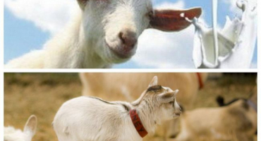 Příčiny a příznaky zácpy u dítěte a co dělat, preventivní opatření