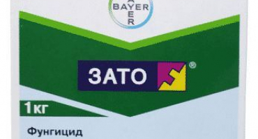 Příčiny a příznaky hnědé skvrny na jabloni, jak se vypořádat s chemickými a lidovými prostředky