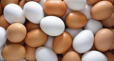 Důvody pro výskyt krve ve žloutku a bílku kuřecího vejce, řešení problému a je možné jíst