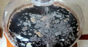 Příčiny plísní na domácím víně a co dělat s bílým filmem, jak zabránit zkažení