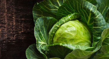 Použití kyseliny borité pro postřik zelí