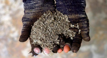 Použití kuřecího hnoje jako hnojiva