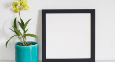 Aplikace seramisové půdy pro orchideje