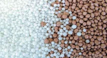 Použití a druhy potašových hnojiv pro okurky