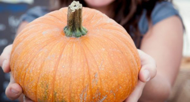 Příznaky alergie na dýně