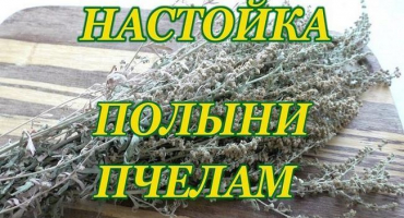Podíl na přípravu odvaru z pelyňku pro včely a pravidla zpracování
