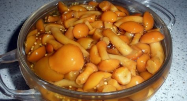 Jednoduchý a chutný recept, jak si doma vyrobit nakládané máslo na zimu