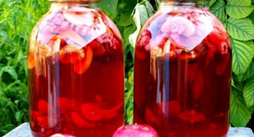 Jednoduchý recept na jablečný kompot a švestky na zimu