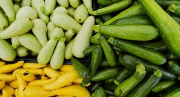 Jednoduchý recept na konzervování cukety v ukrajinštině na zimu