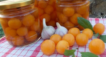 Jednoduchý recept na uchování třešňových švestek, jako jsou olivy na zimu
