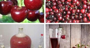 Jednoduchý recept na domácí višňové a malinové víno