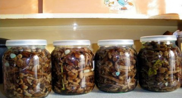 Jednoduchý recept na solení medových agarik na zimu v bankách