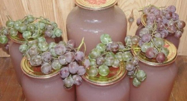 Jednoduchý recept na hroznovou šťávu doma na zimu