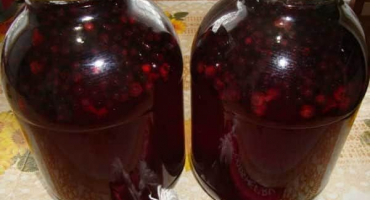 Jednoduché recepty na borůvkový kompot na zimu doma, tajemství skladování