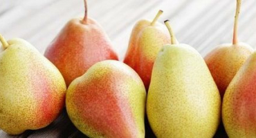 Jednoduché recepty na výrobu hruškové šťávy přes odšťavňovač, v odšťavňovači a tradičním způsobem na zimu