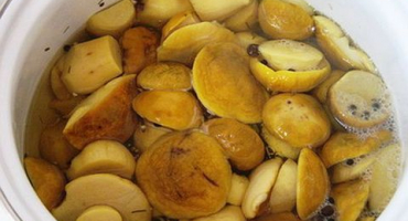 Jednoduché recepty na solení hříbků na zimu doma