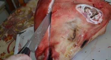 Řezání vepřové hlavy: pracovní příkaz