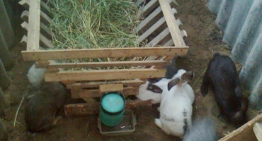 Rozměry a nákresy 10 nejlepších typů krmítek pro králíky