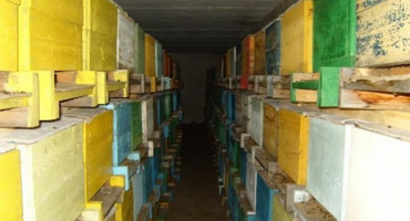 Typy místností pro zimování včel a jak je vyrobit sami