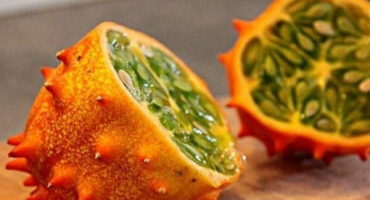 Odrůdy rohatého melounu (kiwano), jeho charakteristika, popis a pěstování