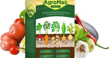 Rozvod nebo opravdu magické hnojivo agromax, popis léku a recenze